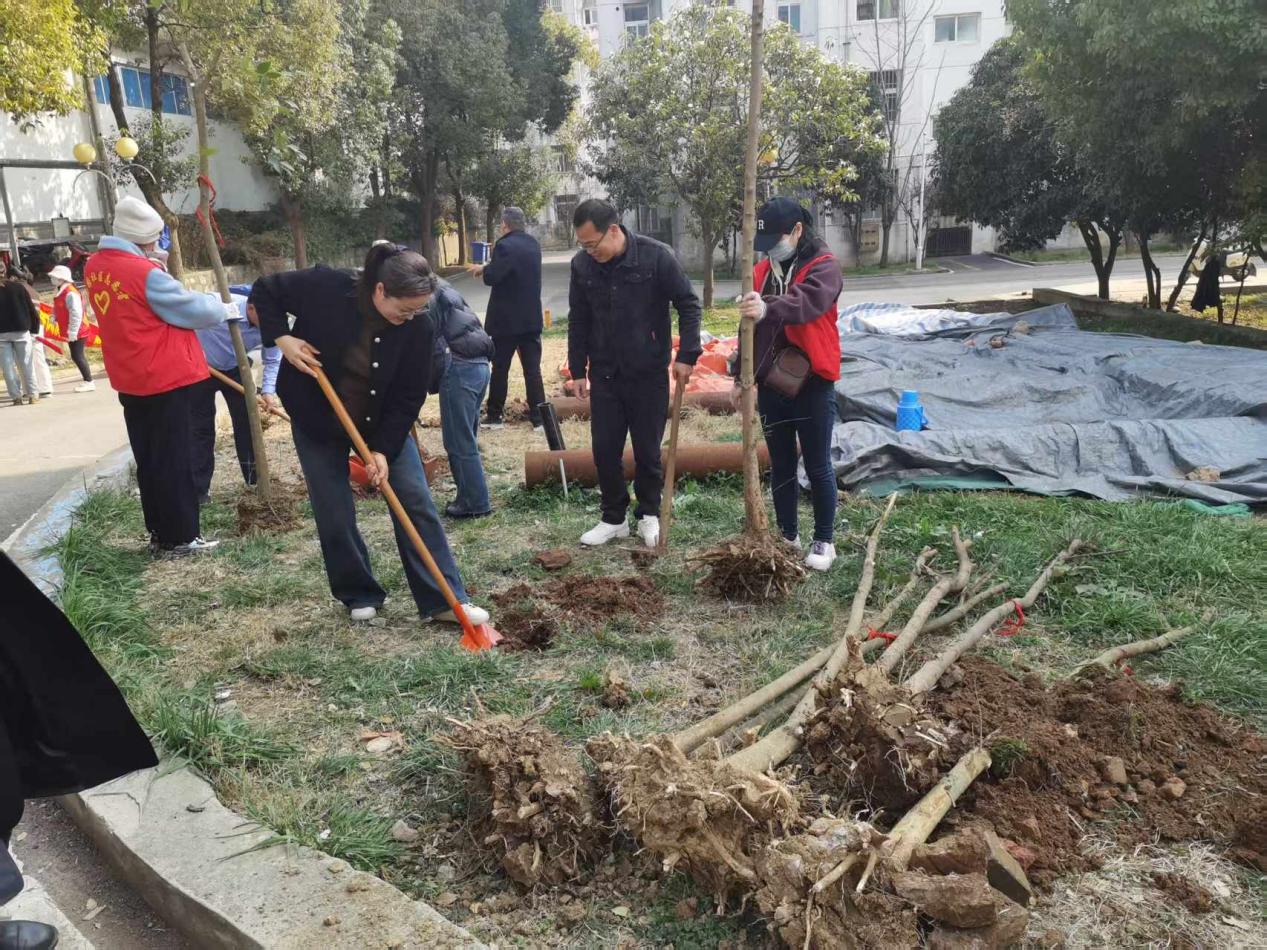 植樹(shù)1 植樹(shù)1