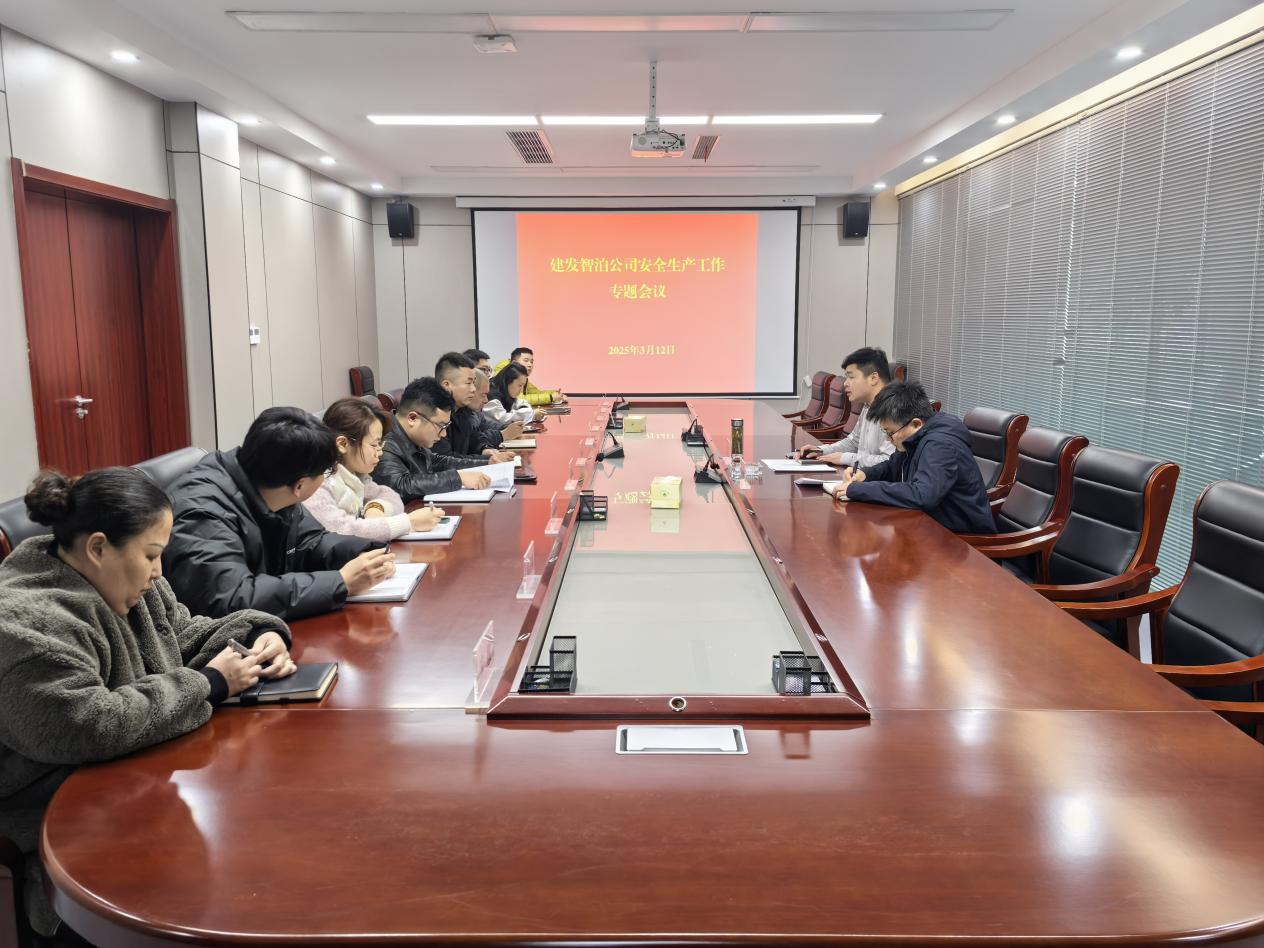 智泊安全1 智泊安全1